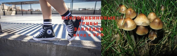 спиды Россошь