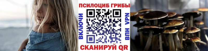 Псилоцибиновые грибы мухоморы  Котлас 